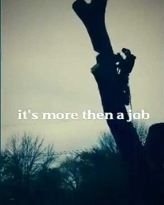 Top-rated lawn mowing service in Wonder Lake, IL by Rieke Tree Service