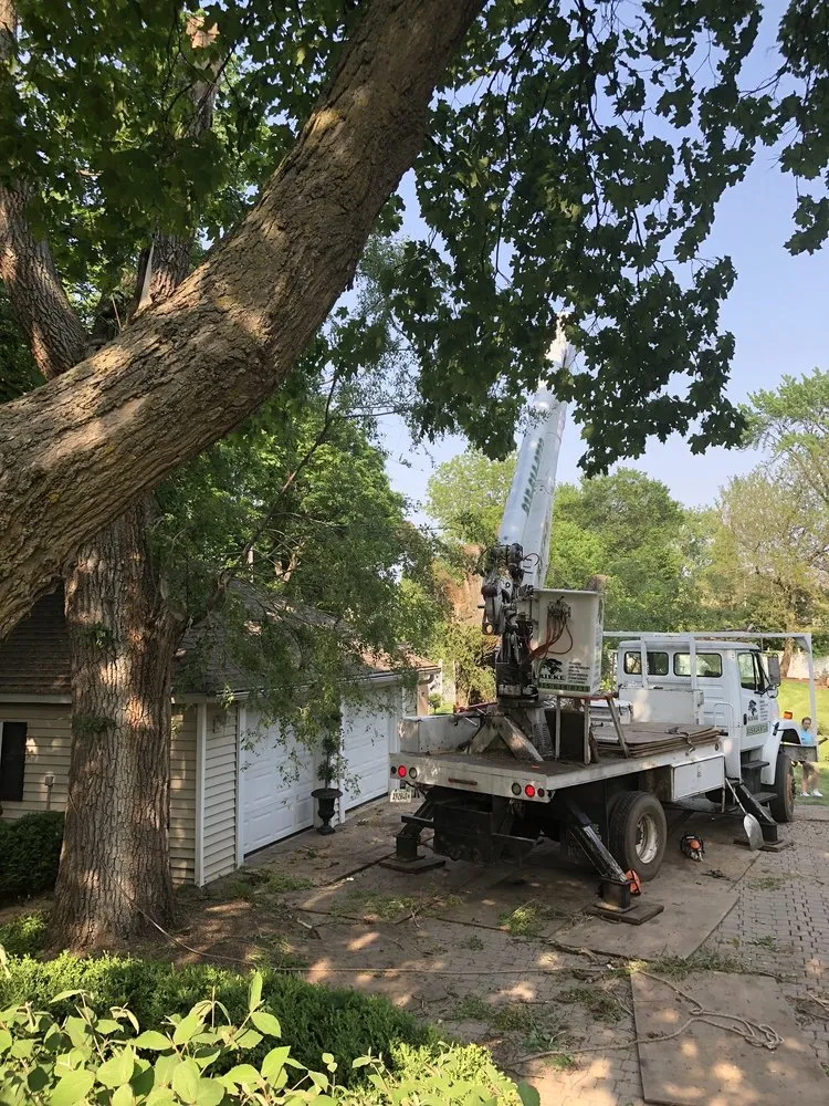 Trusted garden landscaping near you in Wonder Lake, IL by Rieke Tree Service