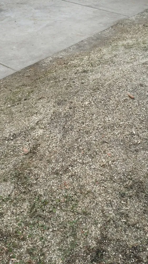 Professional lawn care service in Wonder Lake, IL by Rieke Tree Service