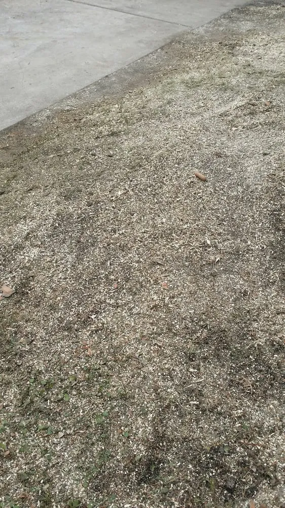 Trusted lawn mowing service in Wonder Lake, IL - Rieke Tree Service