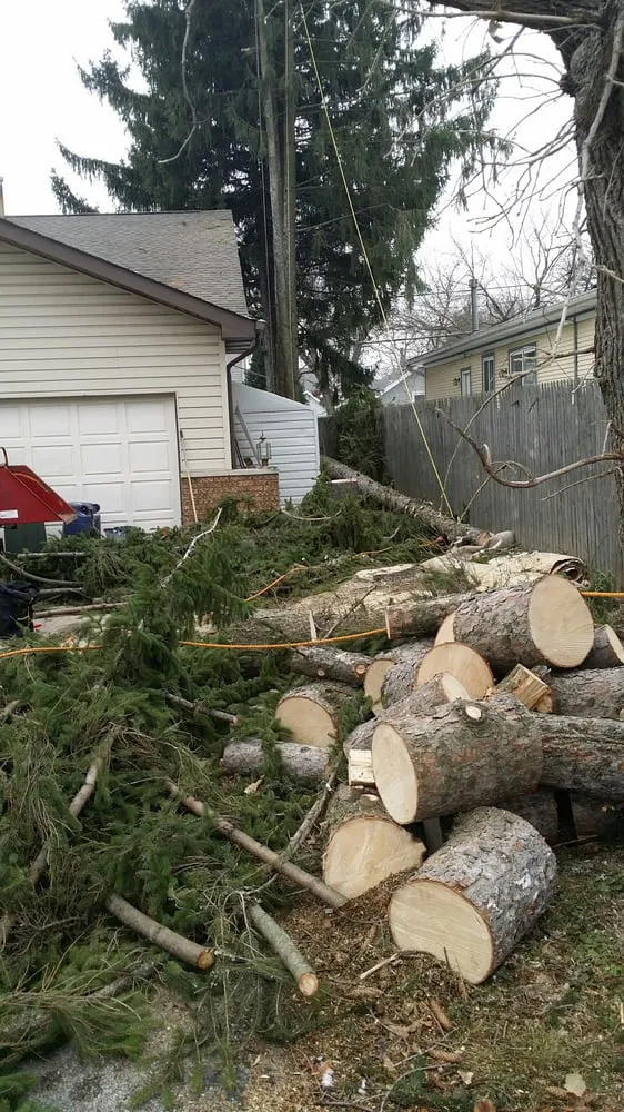 Professional outdoor landscaping in Wonder Lake, IL - Rieke Tree Service