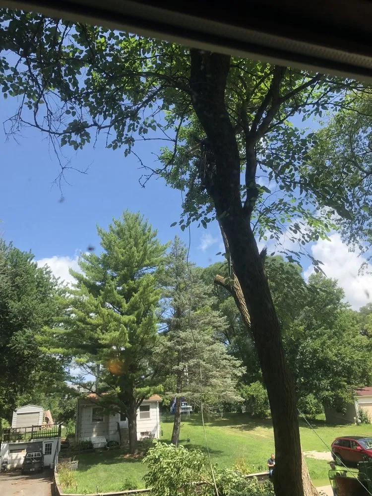 Trusted yard maintenance in Wonder Lake, IL by Rieke Tree Service