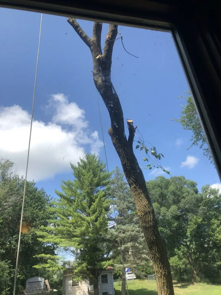 Affordable lawn care service for beautiful yards across Wonder Lake, IL - Rieke Tree Service