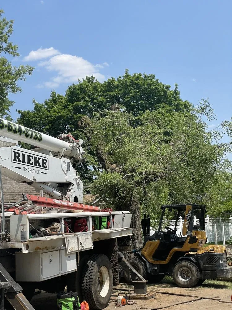 Trusted lawn mowing service in Wonder Lake, IL - Rieke Tree Service