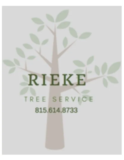 Affordable yard maintenance for year-round maintenance in Wonder Lake, IL by Rieke Tree Service