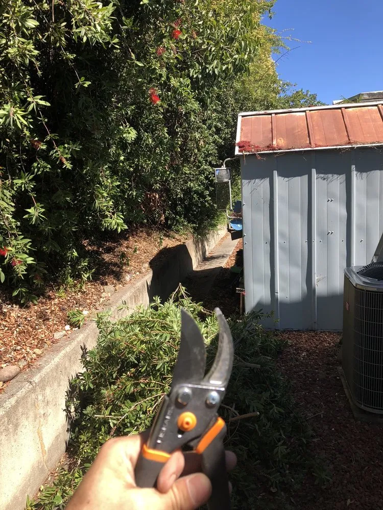 Reliable lawn care service in CA, CA by Rielys Landscaping Lawn And Tree Care