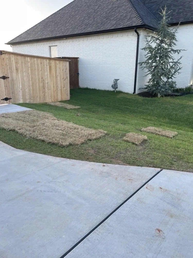 Top-rated landscaping services in Norman, OK by Riemer & Son Landscape & Irrigation