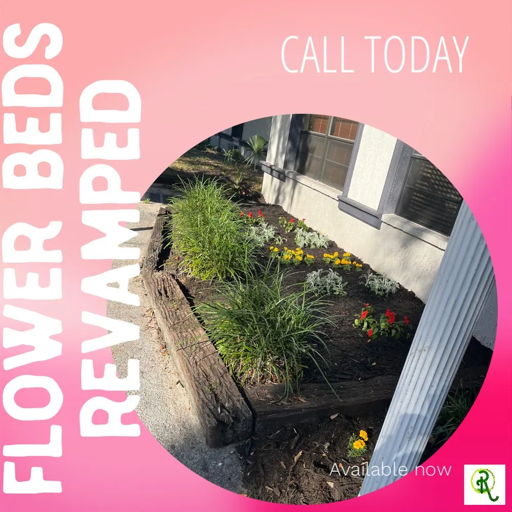 Affordable yard cleanup service for beautiful yards across New Port Richey, FL - Riepenhoff Lawn Care