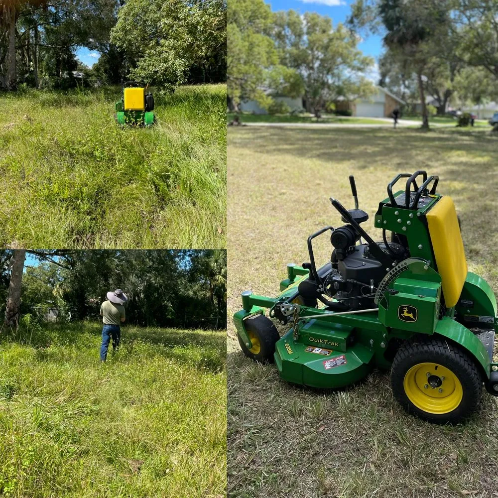Expert yard cleanup service in New Port Richey, FL - Riepenhoff Lawn Care