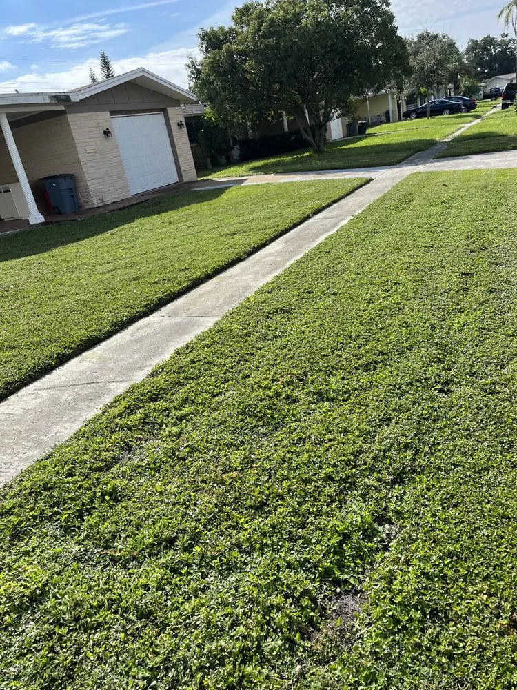 Reliable outdoor landscaping in New Port Richey, FL by Riepenhoff Lawn Care