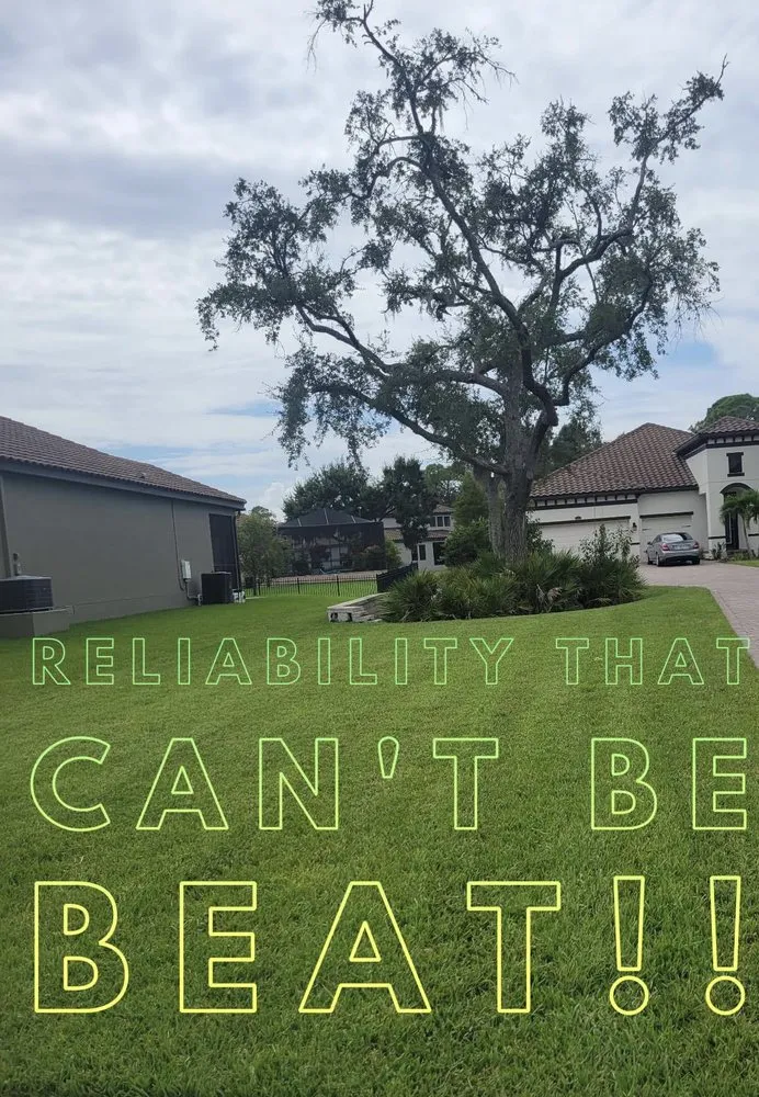 Top-rated residential landscaping experts serving New Port Richey, FL - Riepenhoff Lawn Care