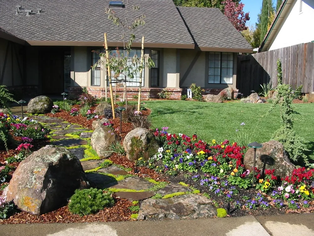 Professional yard cleanup service in Antelope, CA - Ries Landscaping
