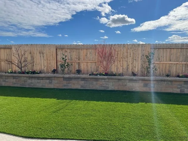 Professional yard cleanup service in Antelope, CA by Ries Landscaping