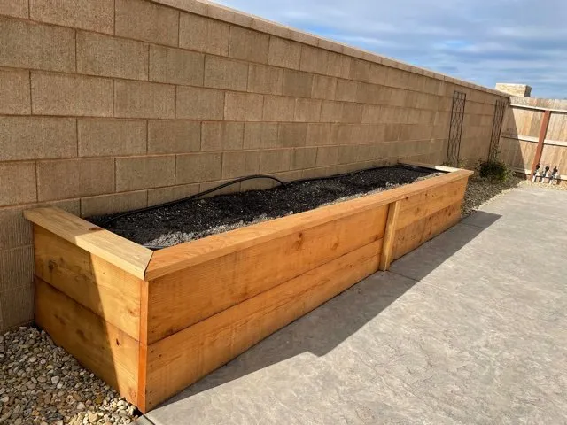 Local lawn care service for year-round maintenance in Antelope, CA by Ries Landscaping