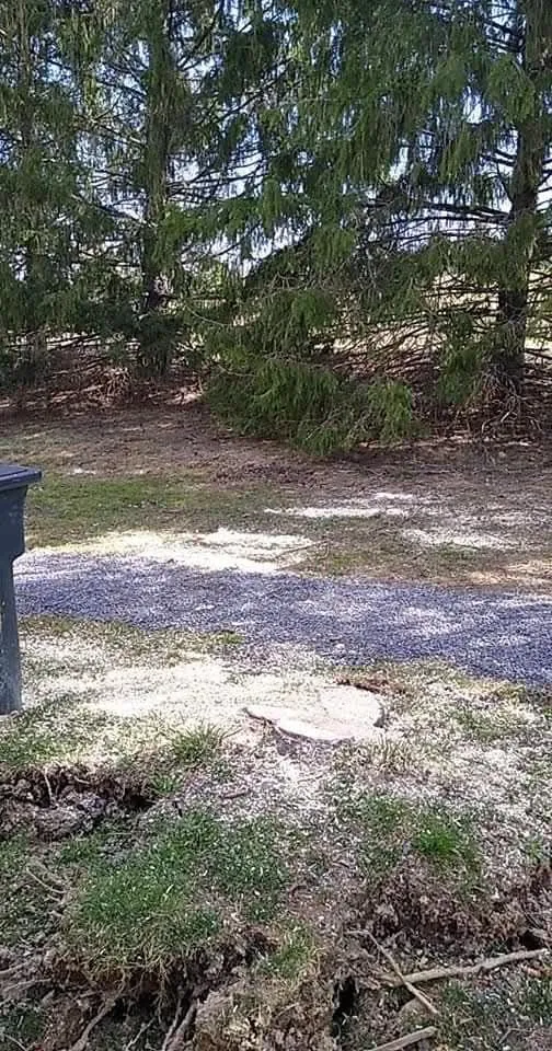 Trusted yard maintenance for outdoor upgrades in Germantown, NY by Rifenburgh Landscaping