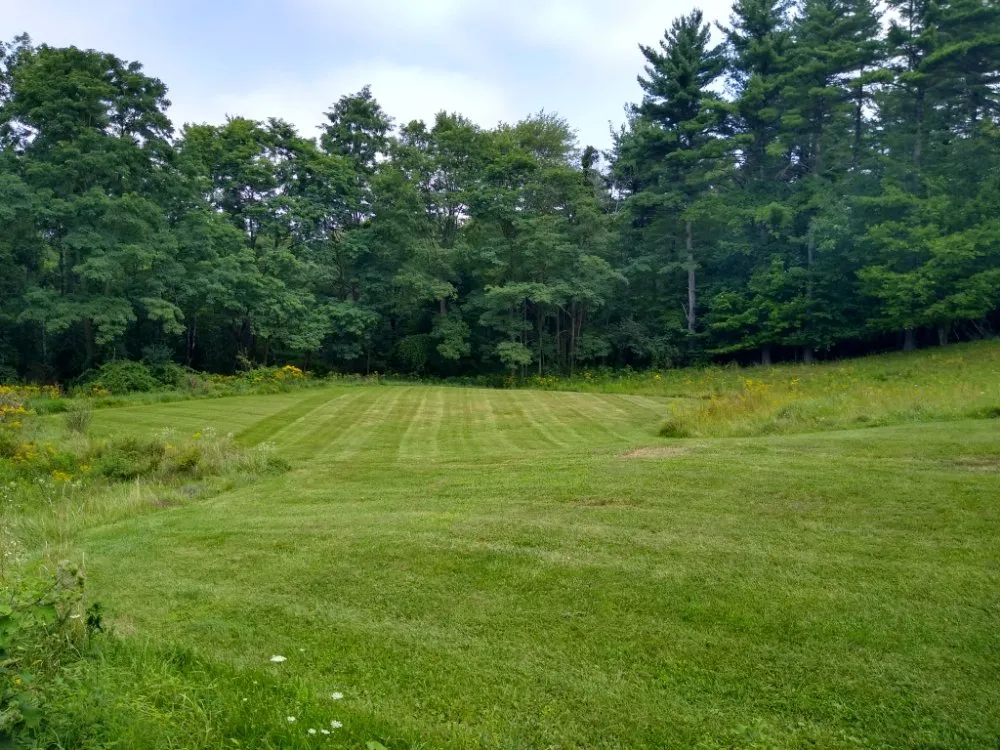 Local landscape design for year-round maintenance in Germantown, NY by Rifenburgh Landscaping