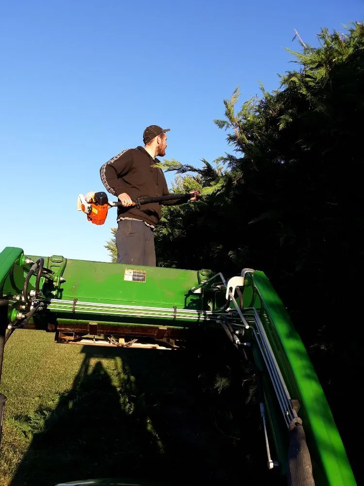 Custom garden landscaping experts serving Woodstock, VA - Riff