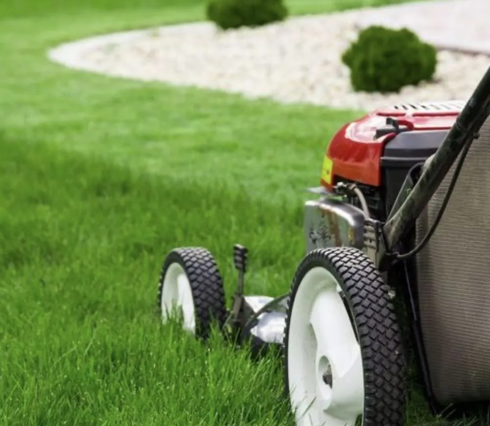 Top-rated landscape design in Canyon Lake, TX - Riffe Lawn Care