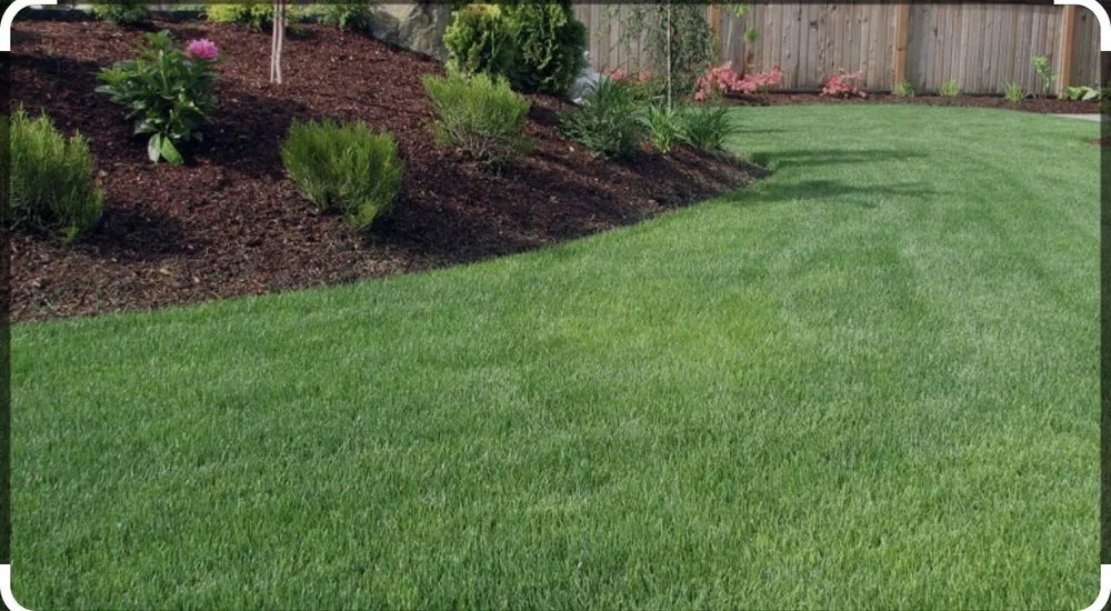 Affordable lawn mowing service in Canyon Lake, TX - Riffe Lawn Care