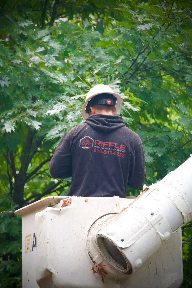 Local landscaping services in Pleasant Hill, MO - Riffle