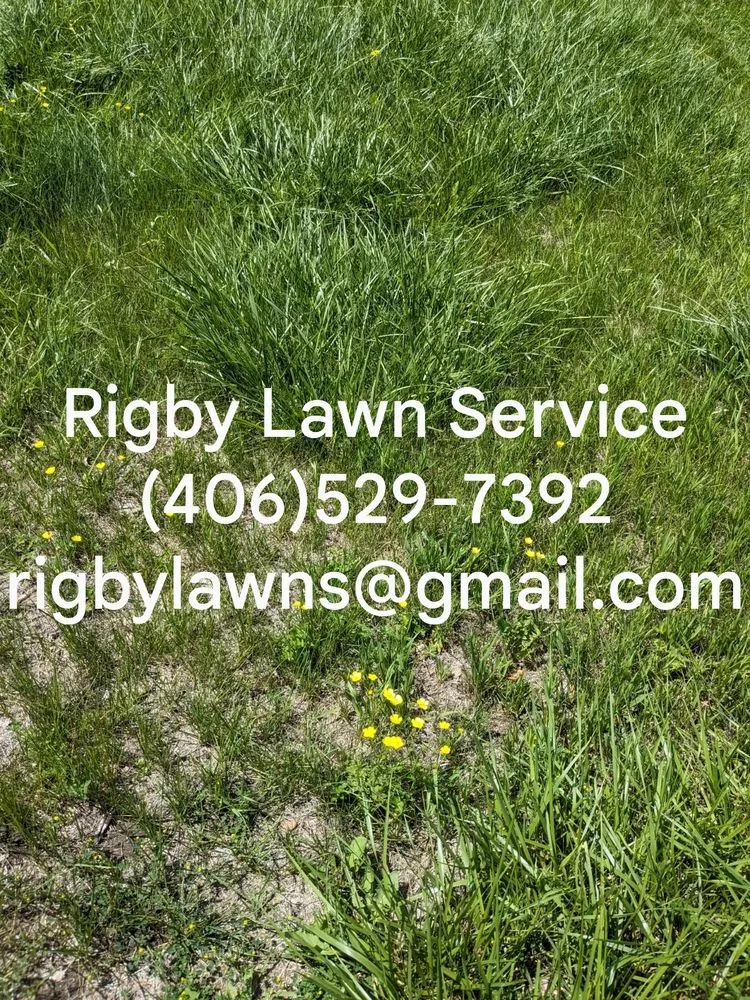 Top-rated lawn mowing service with custom design in Hamilton, MT by Rigby Lawn Service