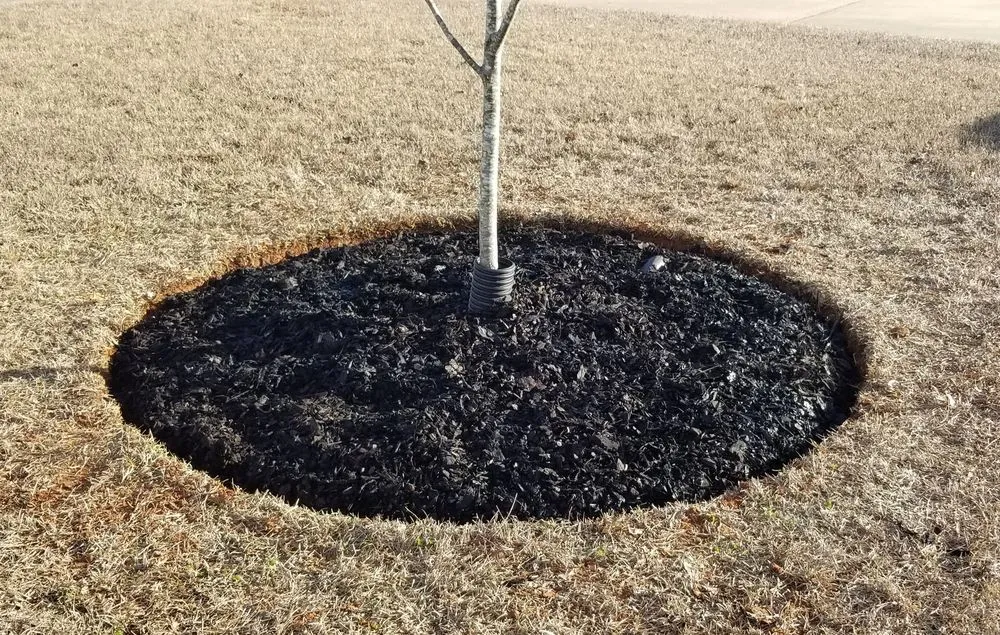 Trusted landscape design experts serving Jacksonville, AL - Riggins Lawn & Land