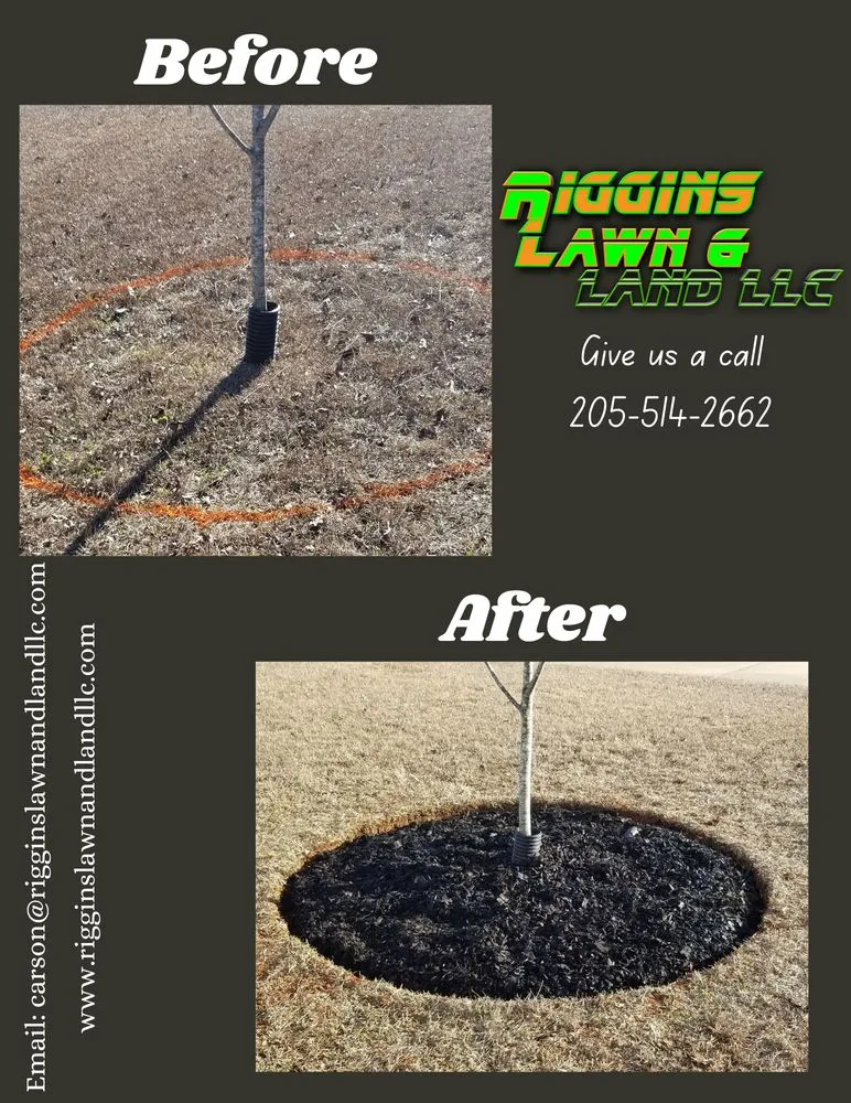 Affordable outdoor landscaping in Jacksonville, AL by Riggins Lawn & Land