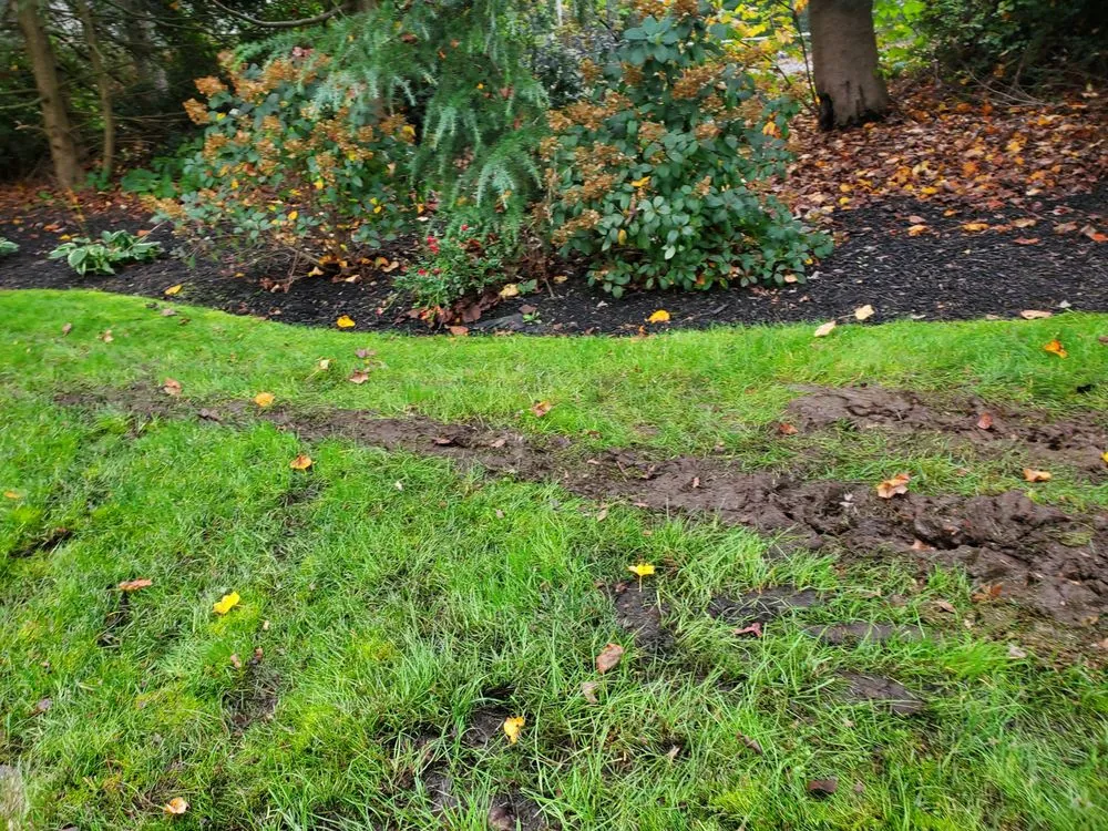 Trusted landscape design in Vineland, NJ - Riggins Lawn Care