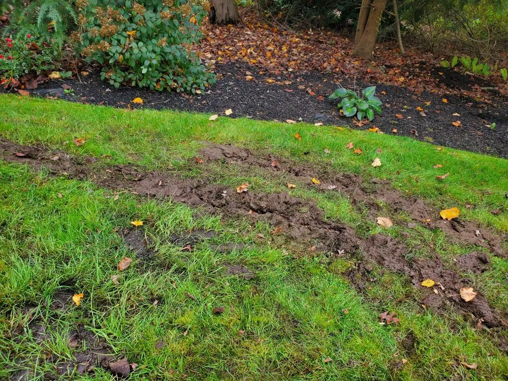 Professional garden landscaping in Vineland, NJ by Riggins Lawn Care