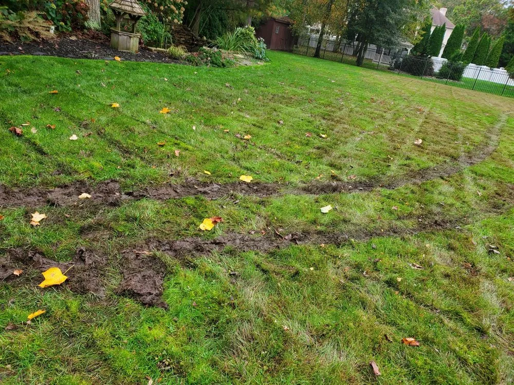 Top-rated yard cleanup service with custom design in Vineland, NJ by Riggins Lawn Care
