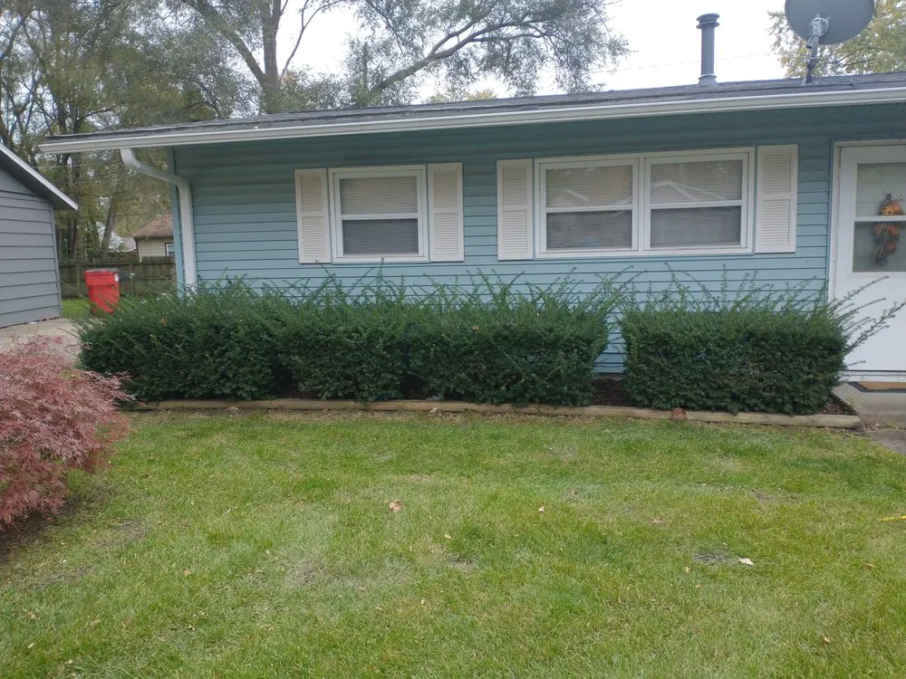 Trusted yard cleanup service in Champaign, IL by Riggs Renewal