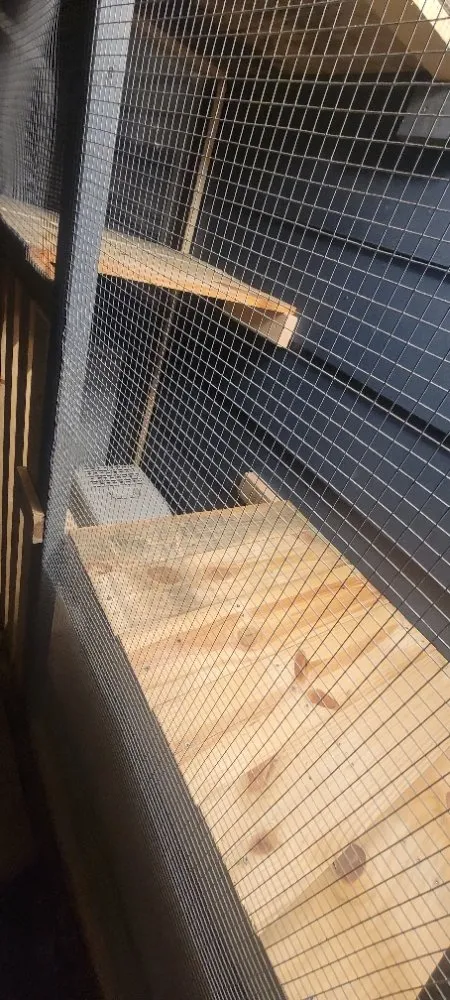 Top-rated yard cleanup service in Carl Junction, MO by Riggs Restoration & Renewal