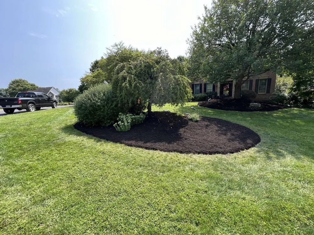 Top-rated yard cleanup service for year-round maintenance in Orefield, PA by Right Around The Corner