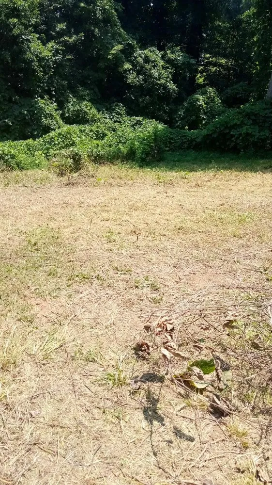 Local landscaping services experts serving Hapeville, GA - RIGHT AWAY LANDSCAPE AND LAWN CARE