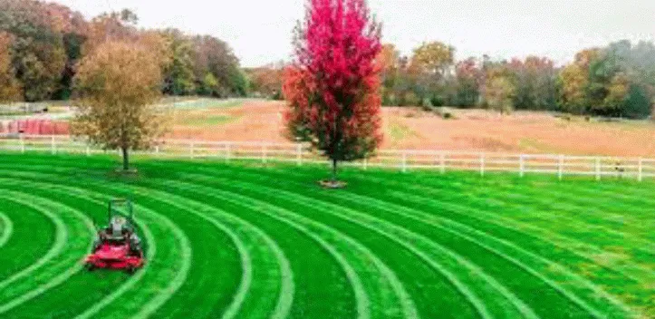 Local lawn care service experts serving Florence, AL - Right Choice Home Repair & All Exteriors Custom Home Builder