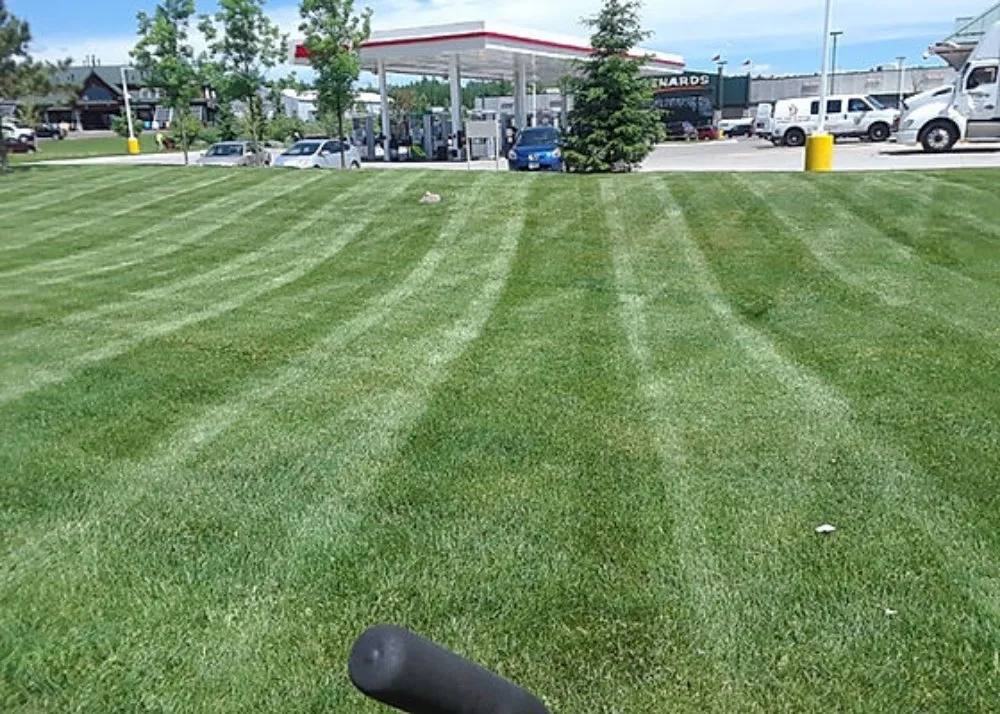 Professional lawn care service with custom design in Florence, AL by Right Choice Home Repair & All Exteriors Custom Home Builder