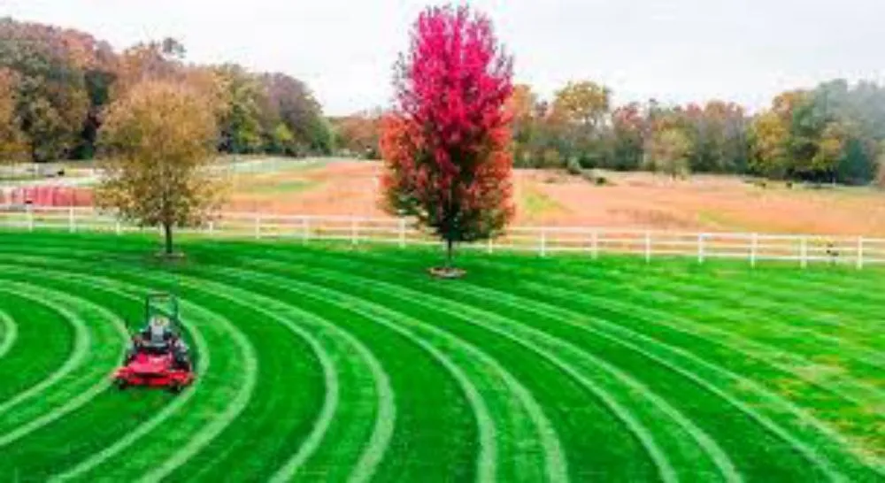 Top-rated outdoor landscaping in Florence, AL by Right Choice Home Repair & All Exteriors Custom Home Builder