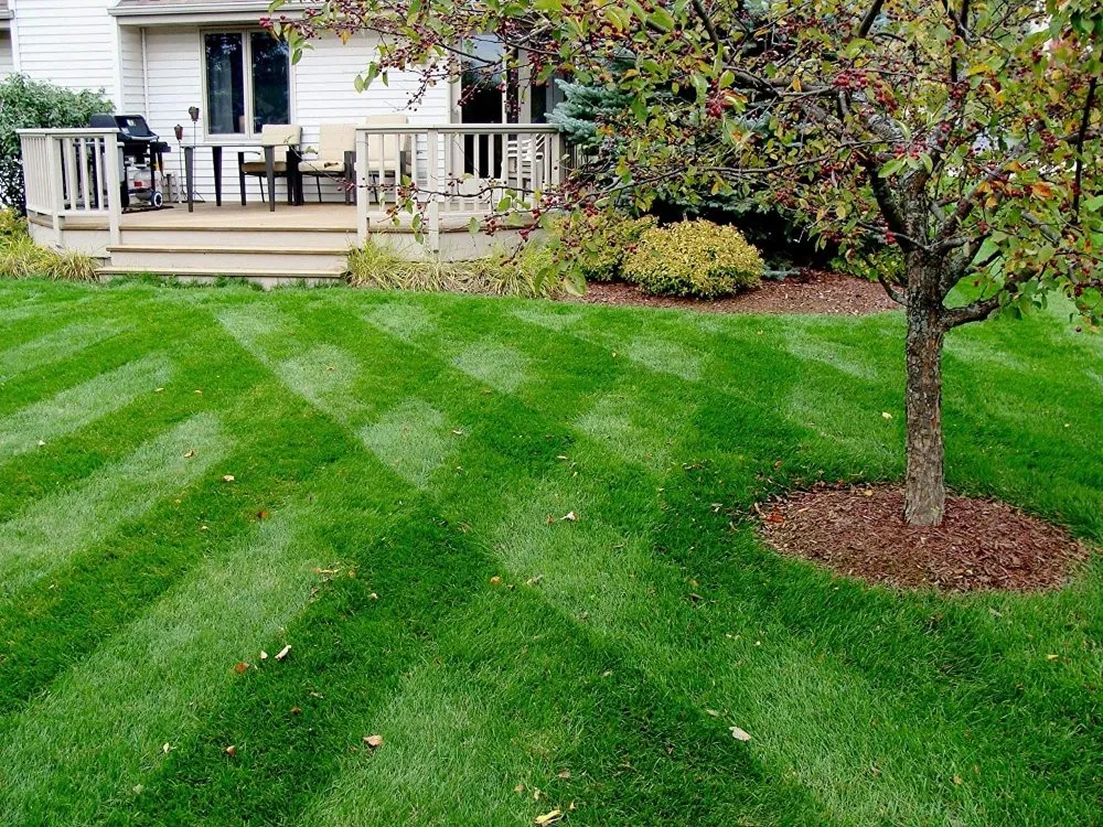 Custom yard cleanup service experts serving Florence, AL - Right Choice Home Repair & All Exteriors Custom Home Builder