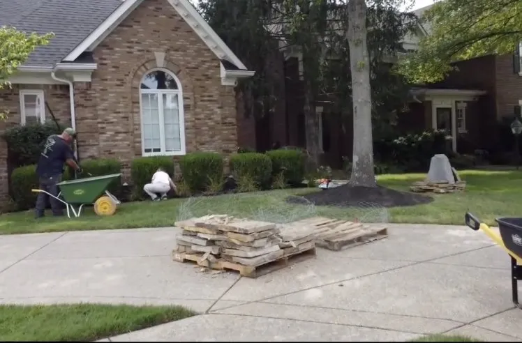 Expert yard maintenance for homes across Jeffersontown, KY - Right Choice Land Management