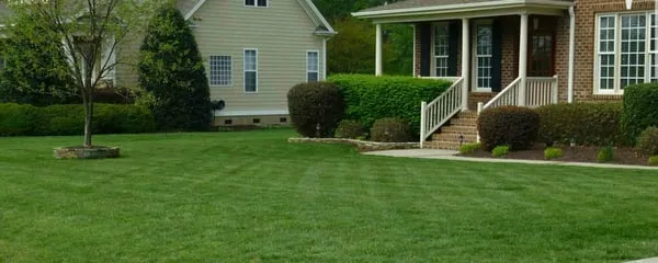 Right Choice Landscape Logo