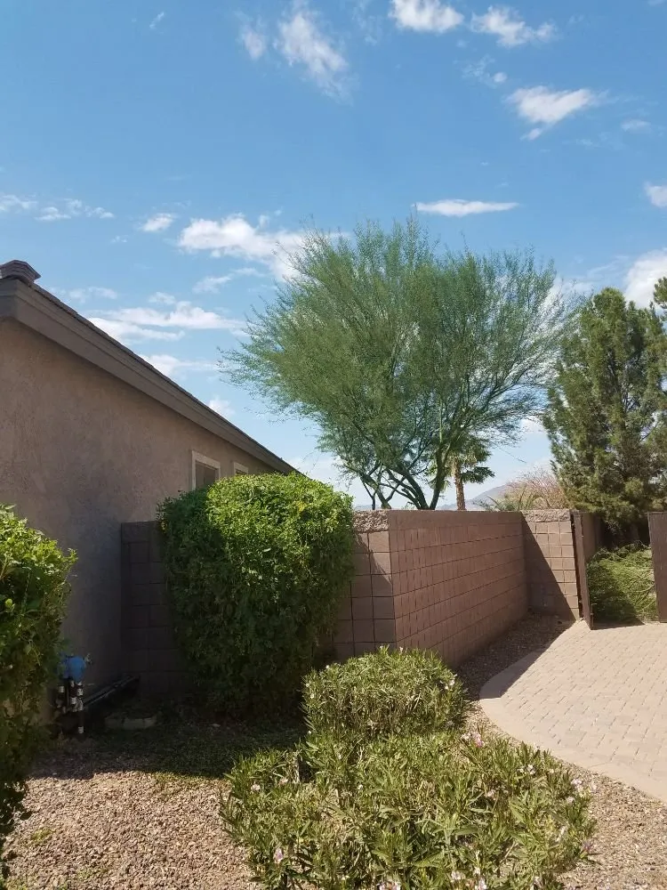 Expert residential landscaping for outdoor upgrades across Maricopa, AZ - Right Choice Lawn Service