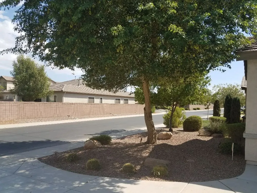 Reliable residential landscaping experts serving Maricopa, AZ - Right Choice Lawn Service