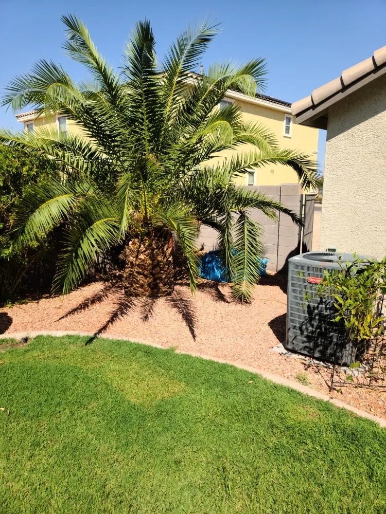 Top-rated yard maintenance experts serving Maricopa, AZ - Right Choice Lawn Service