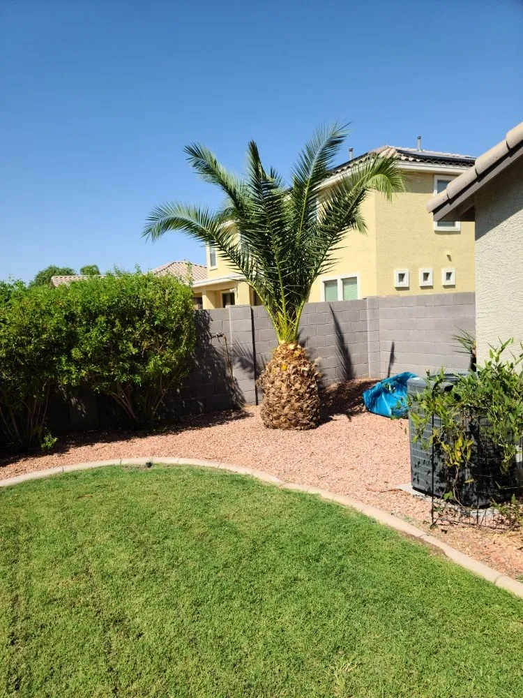 Local residential landscaping in Maricopa, AZ by Right Choice Lawn Service