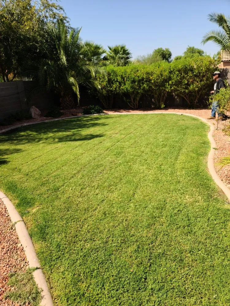 Custom landscape installation with custom design across Maricopa, AZ - Right Choice Lawn Service