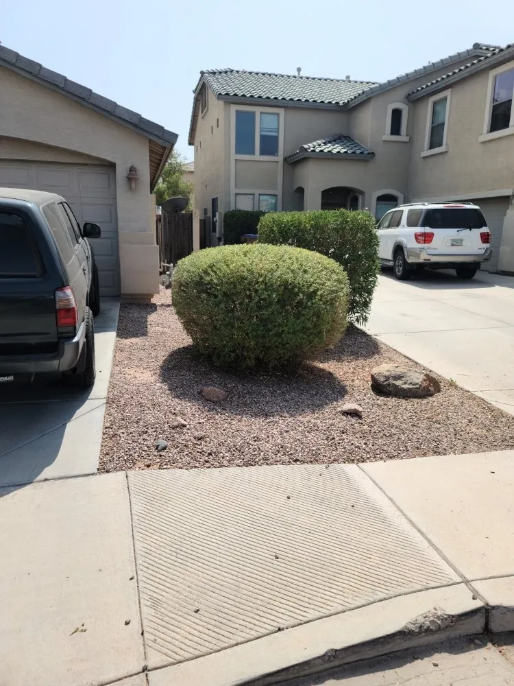 Reliable yard maintenance for homes in Maricopa, AZ by Right Choice Lawn Service