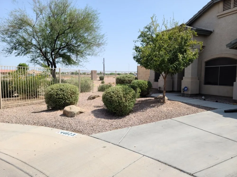 Professional lawn care service for beautiful yards in Maricopa, AZ by Right Choice Lawn Service