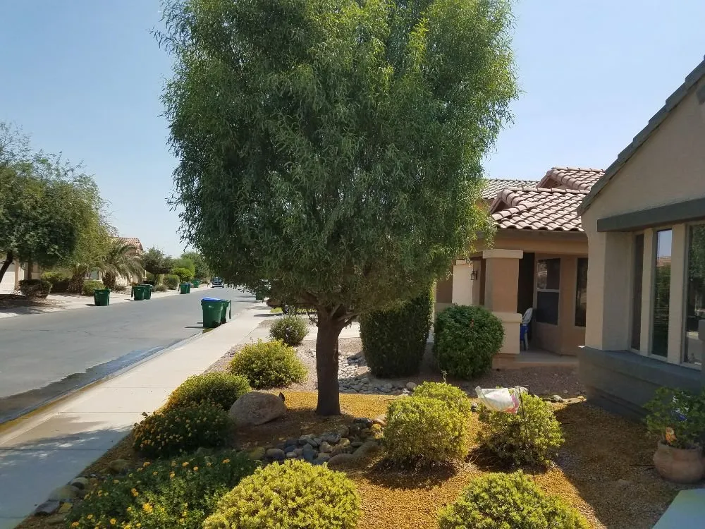 Top-rated lawn care service with custom design across Maricopa, AZ - Right Choice Lawn Service