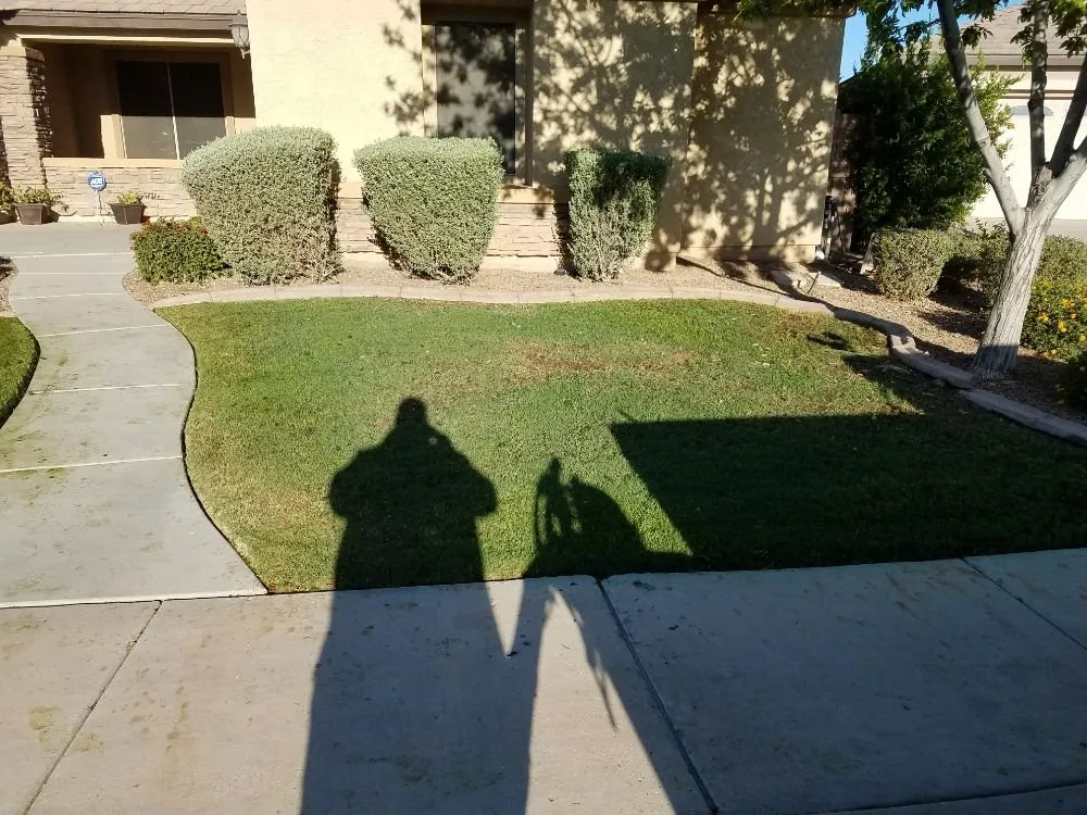 Reliable yard maintenance in Maricopa, AZ - Right Choice Lawn Service