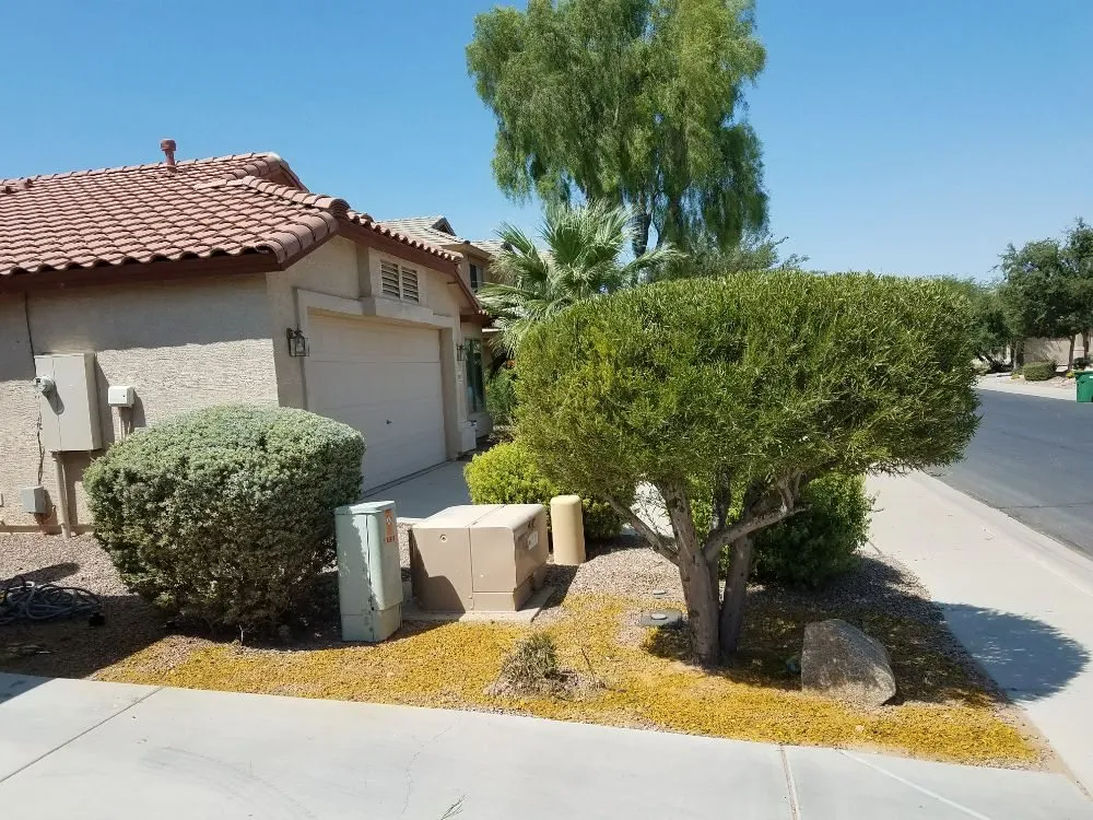 Trusted lawn care service for beautiful yards in Maricopa, AZ by Right Choice Lawn Service